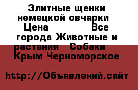 Элитные щенки немецкой овчарки › Цена ­ 30 000 - Все города Животные и растения » Собаки   . Крым,Черноморское